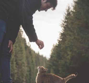 A man bends down to interact with a curious tabby cat on a serene forest road.